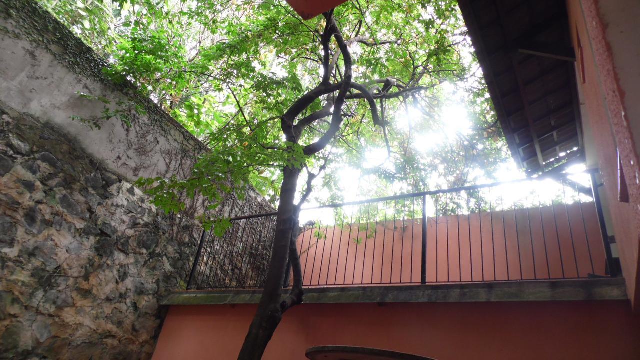 Hotel Charme Fonte Do Boi Салвадор Екстер'єр фото